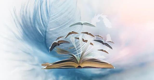 Venez plonger dans cette histoire vraie, riche en émotions 🕊️ 
De ma naissance à mon abandon à l'âge de 3 mois en traversant mon adoption à l'âge de 11 mois et des retrouvailles 30 ans plus tard avec ma mère biologique grâce à mes parents adoptifs 💖 
Je vous dis tout...